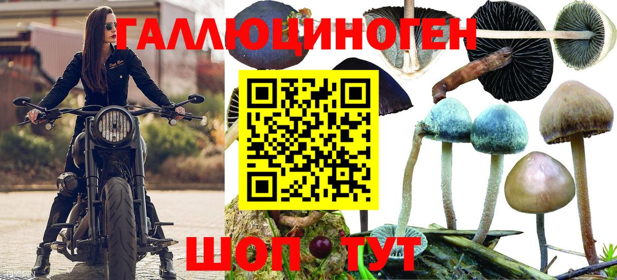 Галлюциногенные грибы Magic Shrooms  Вход с VPN  закладки  Нижневартовск 